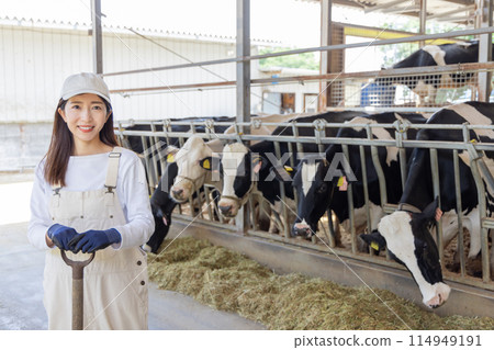 People working on the farm Dairy farmers People working on the farm Dairy farmers 114949191
