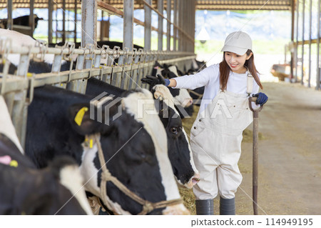 People working on the farm Dairy farmers People working on the farm Dairy farmers 114949195