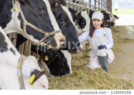 在農場工作的人、酪農 114949199