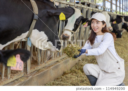 People working on the farm Dairy farmers People working on the farm Dairy farmers 114949200