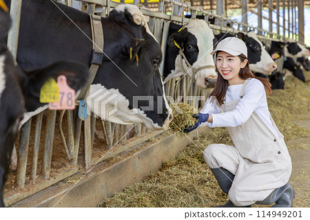 People working on the farm Dairy farmers People working on the farm Dairy farmers 114949201