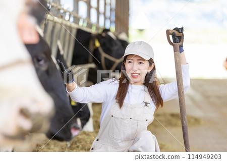 People working on the farm Dairy farmers 114949203
