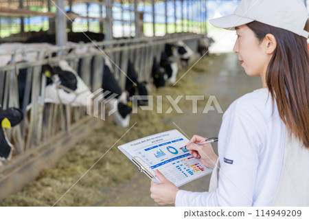 在農場工作的人、酪農 114949209