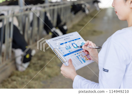 People working on the farm Dairy farmers People working on the farm Dairy farmers 114949210