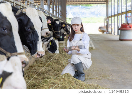 People working on the farm Dairy farmers 114949215