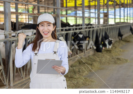 People working on the farm Dairy farmers People working on the farm Dairy farmers 114949217