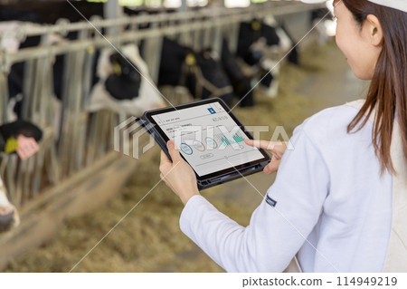 People working on the farm Dairy farmers 114949219