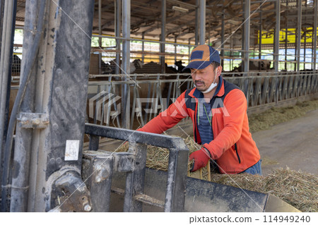 在牧場工作的男人 114949240