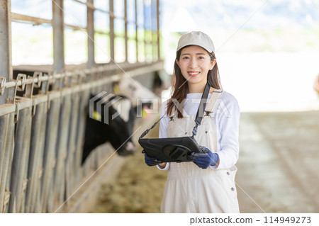 People working on the farm Dairy farmers People working on the farm Dairy farmers 114949273