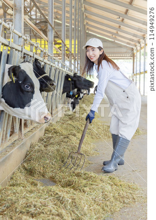 在農場工作的人、酪農 在農場工作的人、酪農 114949276