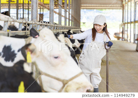 在農場工作的人、酪農 114949279