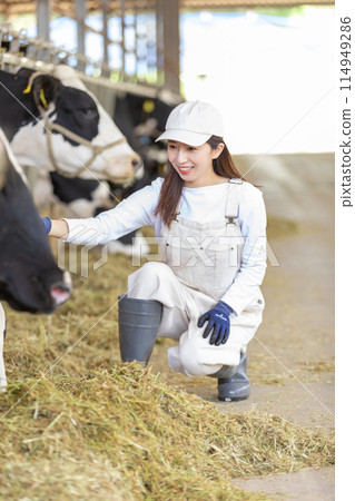 People working on the farm Dairy farmers People working on the farm Dairy farmers 114949286