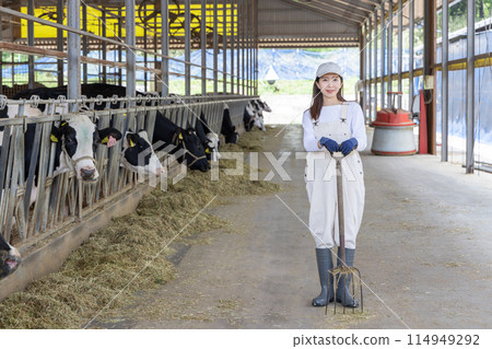 People working on the farm Dairy farmers 114949292