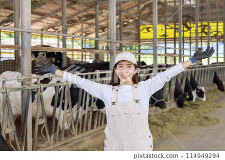 People working on the farm Dairy farmers People working on the farm Dairy farmers 114949294