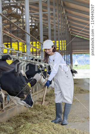 在農場工作的人、酪農 114949297