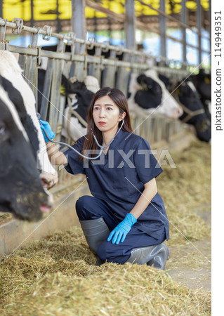 Farm workers: Veterinarians Farm workers: Veterinarians 114949351