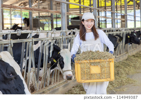 People working on the farm Dairy farmers 114949387
