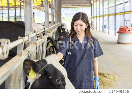 Farm workers: Veterinarians 114949396
