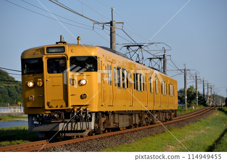 Two 115 series ordinary trains running on the Hakubi line 114949455