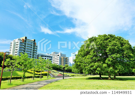 千葉縣海濱幕張、幕張海濱公園的風景 114949931