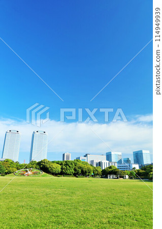 Chiba Prefecture, Makuhari Seaside Park, Makuhari Seaside Park Chiba Prefecture, Makuhari Seaside Park, Makuhari Seaside Park 114949939