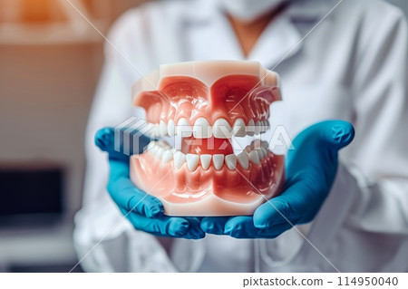Dentist holding a dental jaw model Dentist holding a dental jaw model 114950040