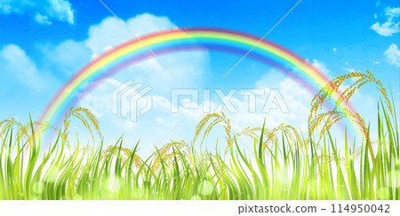 Rice Autumn Countryside Landscape Background 114950042