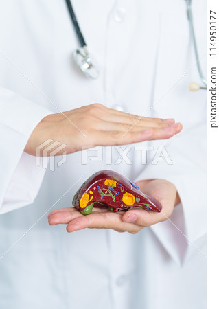 Doctor with human Liver anatomy model. Liver cancer and Tumor, Jaundice, Viral Hepatitis A, B, C, D, E, Cirrhosis, Failure, Enlarged, Hepatic Encephalopathy, Ascites Fluid in Belly and health concept 114950177