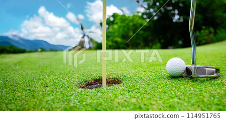 Close up golf ball on green grass field Close up golf ball on green grass field 114951765