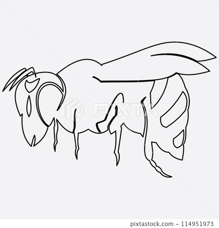 bee logo illustrations design icon 114951973