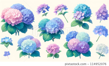  hydrangea 114952076