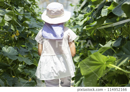 孩子們在享受收穫蔬菜的樂趣 114952166