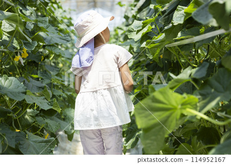 孩子們在享受收穫蔬菜的樂趣 114952167