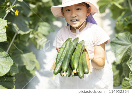 孩子們在享受收穫蔬菜的樂趣 114952264
