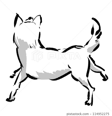 狗向後仰視 114952275