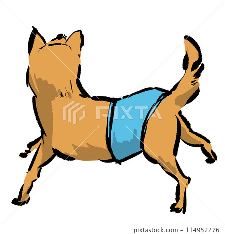 穿著尿布的後向狗 114952276