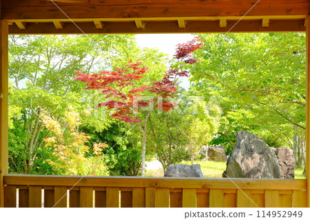 View of autumn leaves from the gazebo at Koishinosato Hydrangea Garden 114952949