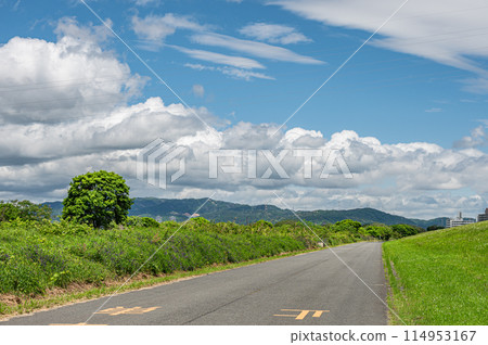 Yodogawa River Park Exit Area, Hirakata City 114953167