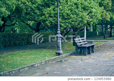 An empty bench in the park on a summer day against the background of lush foliage of trees. A quiet corner of a public park with space to copy. High quality photo An empty bench in the park on a summer day against the background of lush foliage of trees. A quiet corner of a public park with space to copy. High quality photo 114953980