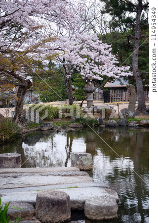 Spring in Higashiyama, Kyoto 114954349