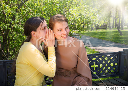 Two girls gossip in the park 114954415