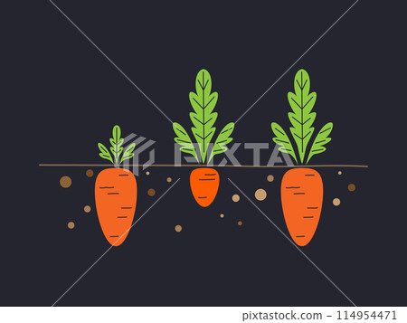Three Carrots with different size and leaves. Vector Illustration Three Carrots with different size and leaves. Vector Illustration 114954471