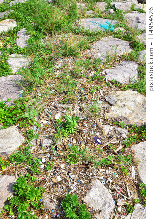 Plastic debris washed up on the seawall Plastic debris washed up on the seawall 114954526