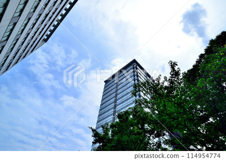 View of high-rise office buildings around Meiji Jingumae in Tokyo View of high-rise office buildings around Meiji Jingumae in Tokyo 114954774