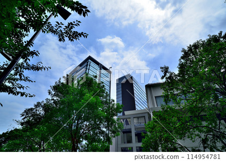 東京明治神宮前週邊高層辦公大樓風景 東京明治神宮前週邊高層辦公大樓風景 114954781