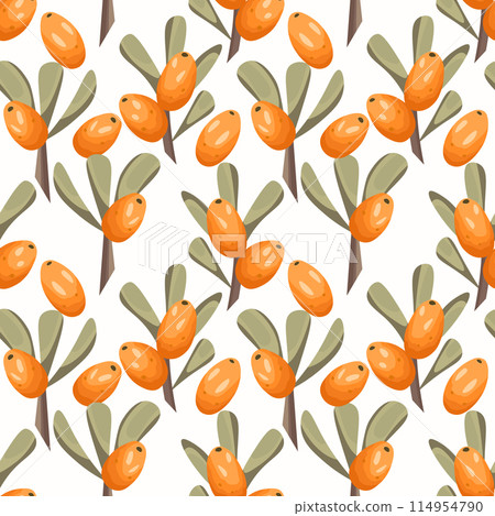 Seamless pattern with sea buckthorn. Natural fresh ripe tasty berries. Vector illustration for background, packaging, textile, fabric and various other designs 114954790