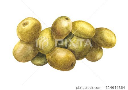 Watercolor pile of green Olives fruit or berries. Organic food and pickles. Hand drawn illustration. Hand drawn illustration. Raw vegetables for extra virgin olive oil label. Isolated white background 114954864