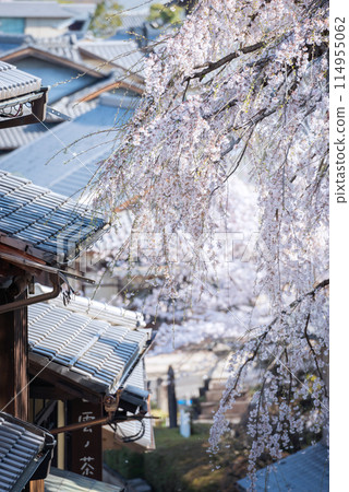 春天的東山區 春天的東山區 114955062