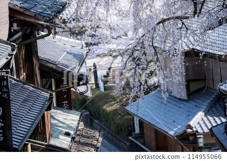 春天的東山區 114955066