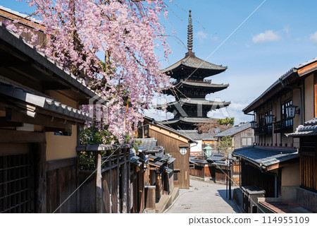 春天的東山區 114955109